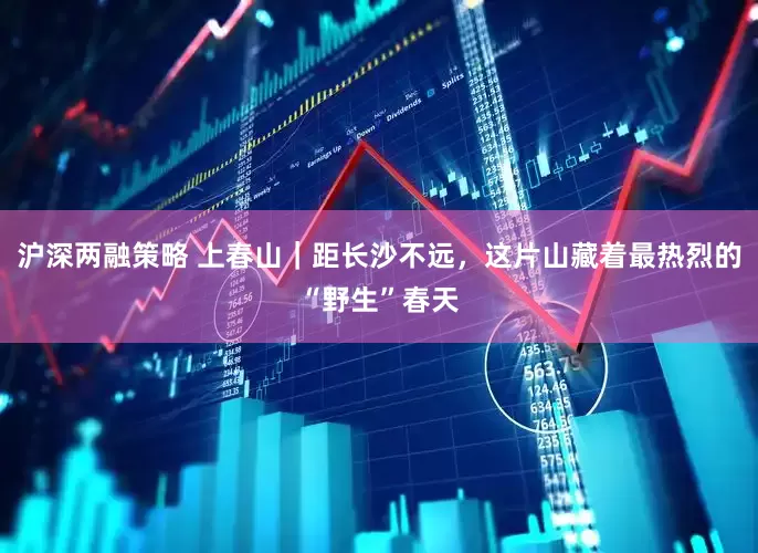 沪深两融策略 上春山｜距长沙不远，这片山藏着最热烈的“野生”春天